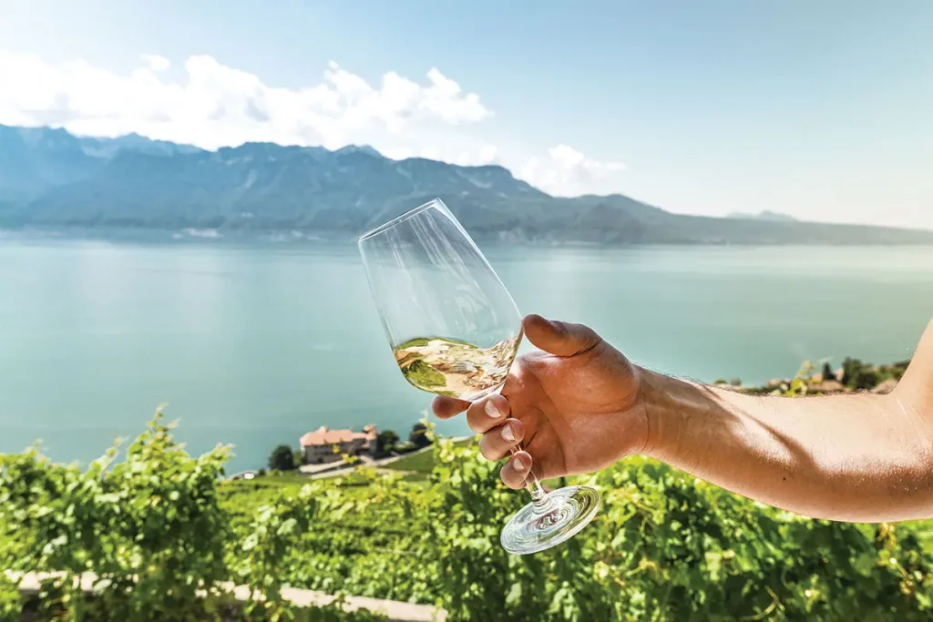 Sassi Fine Jewellery Wine pairings