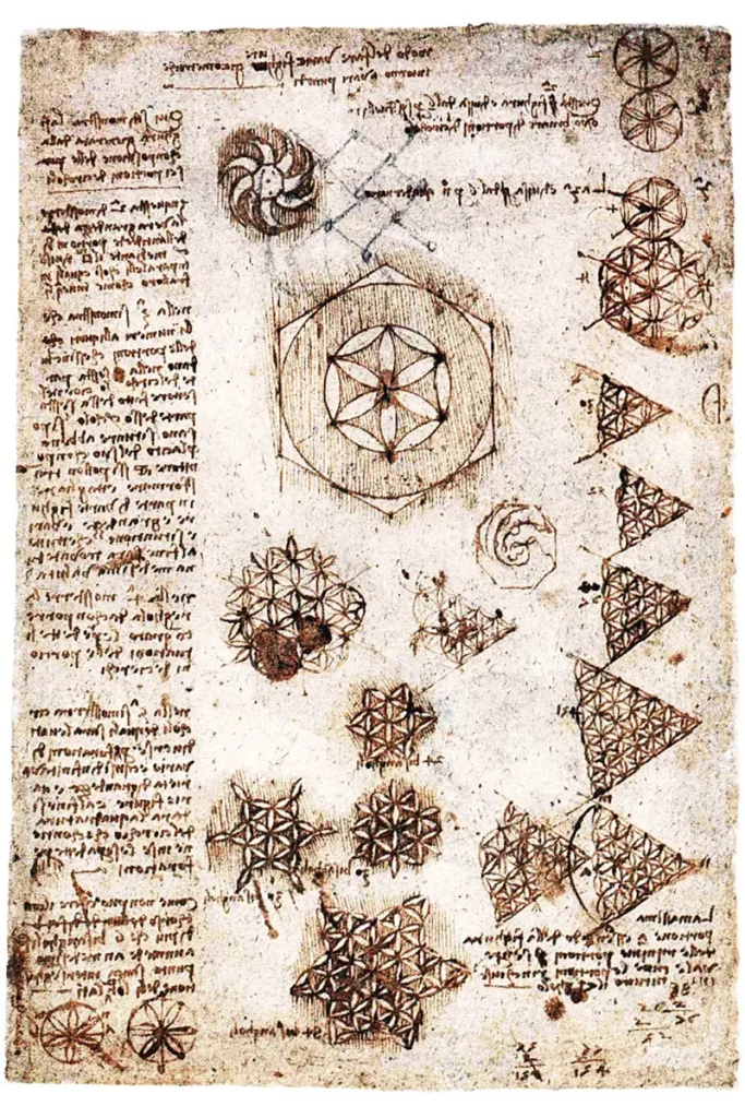 Flower of Life - Leonardo da Vinci
